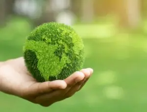 Sustainable Future Fixiz Blog